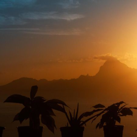 Vue Sur Moorea بوناويا المظهر الخارجي الصورة